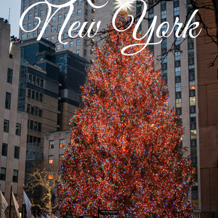 The Localpolitan - Kerstgids New York City
